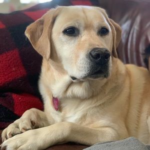 Meet your Posher, Sherri